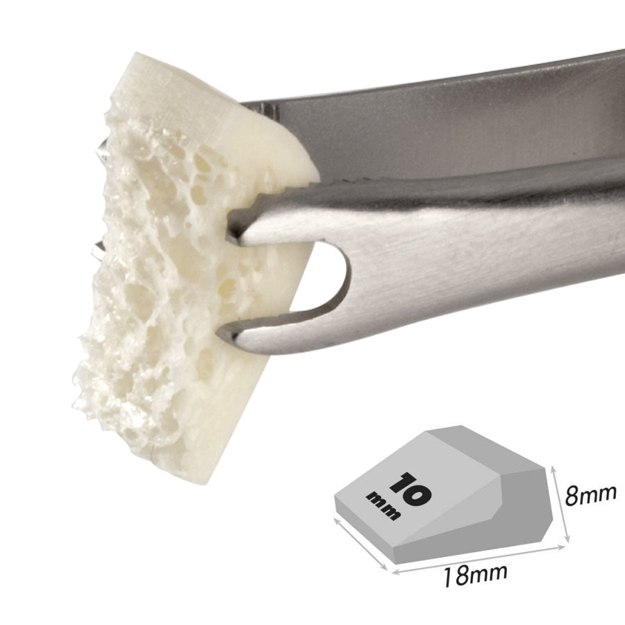 Allooss Allograft Block 10mm