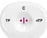 MedMira Miriad Rapid TP/nTP Antibody Test (Point of Use Format)  less than 2 min procedure with instant result. Quantity: 25 Tests per box. For Use With: Detection of Antibodies to Treponema pallidum (TP) and Non Treponema pallidum (nTP). RUO only.
